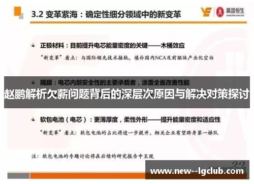 赵鹏解析欠薪问题背后的深层次原因与解决对策探讨